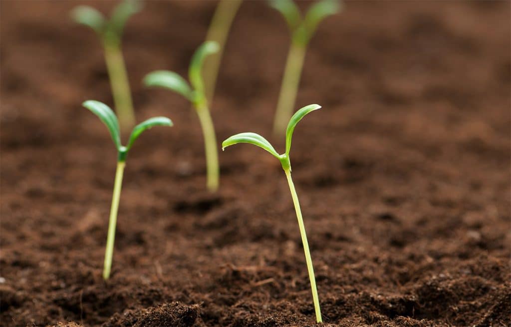 Curso en Técnicas para la gestión ambiental