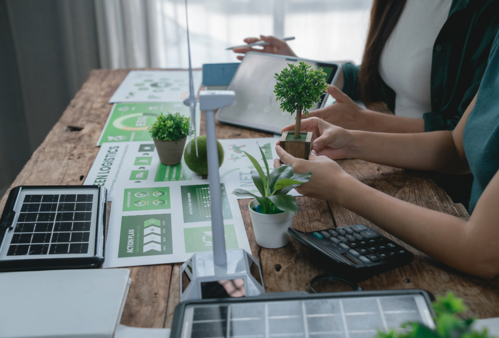 Cómo integrar los costos ambientales en la contabilidad
